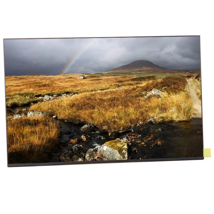 B160UAX01.0 16.0-palčni zaslon TFT LCD